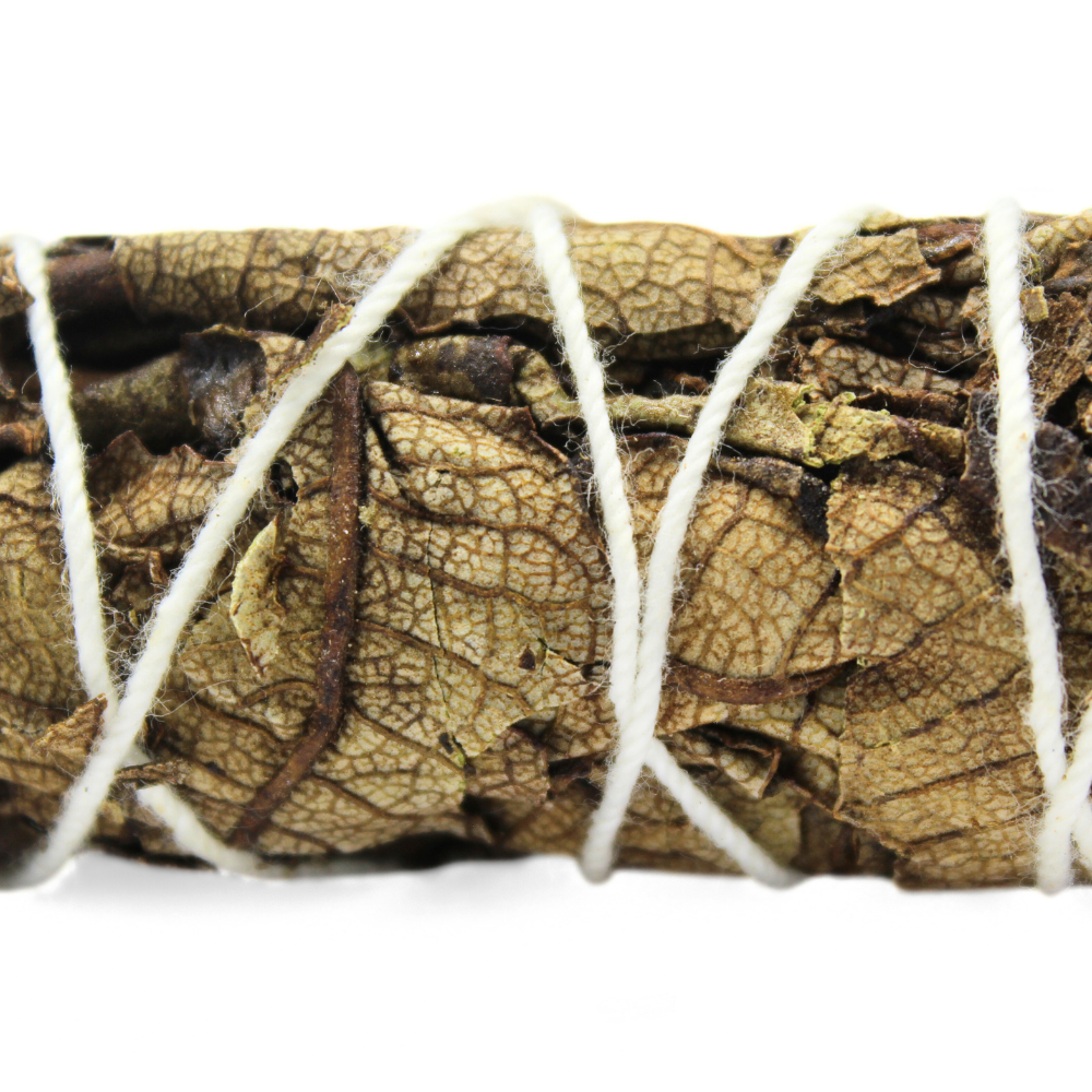 Salvia Nera – Purificazione Profonda; Taglio dei Legami del Passato | Protezione e Nuovi Inizi